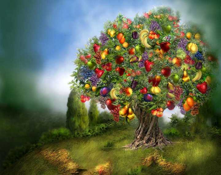 tree-of-abundance-carol-cavalaris