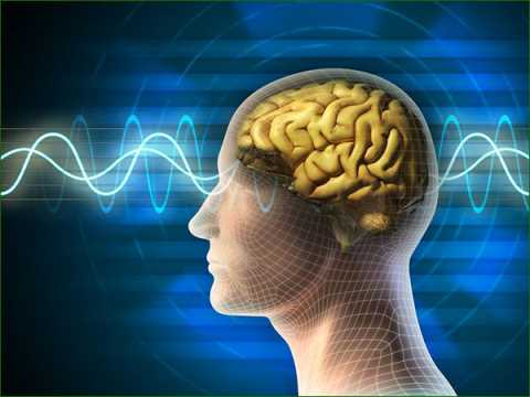 cerveau-vibratoire-quantique