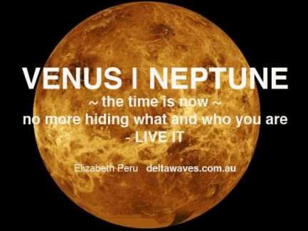 venusneptune