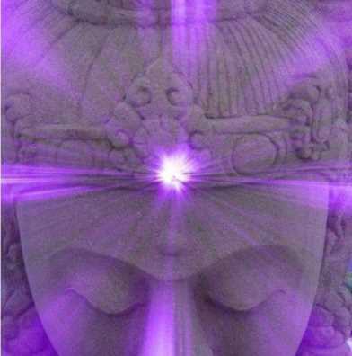 pruple-buddha-light-head