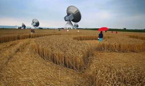 Crop_circle-2