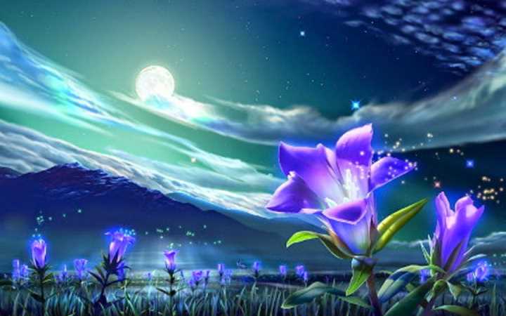 Fantasy-Moonlight-Picture