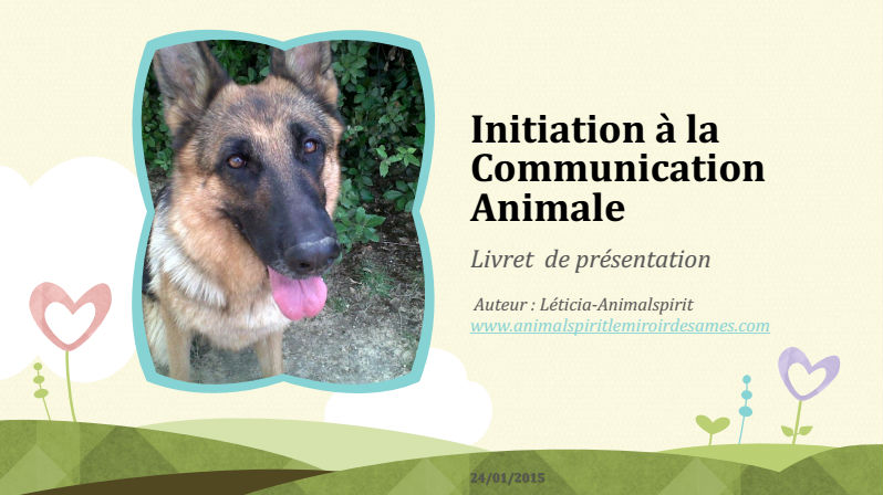 CommunicationAnimale2