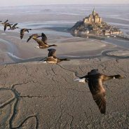 « C’EST QUOI LA LIBERTÉ ?… »