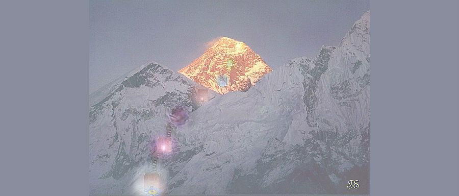 himalayans