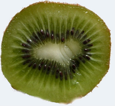 coeur-kiwi-374732