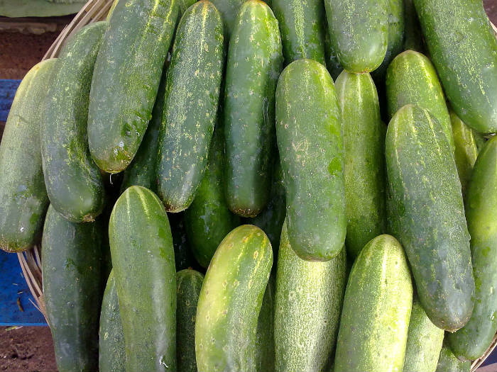 Cucumber_closeup