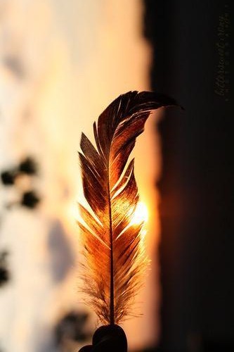 plume_coucher_de_soleil