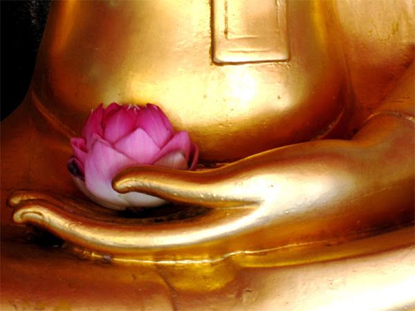 buddha-with-flower-compressor