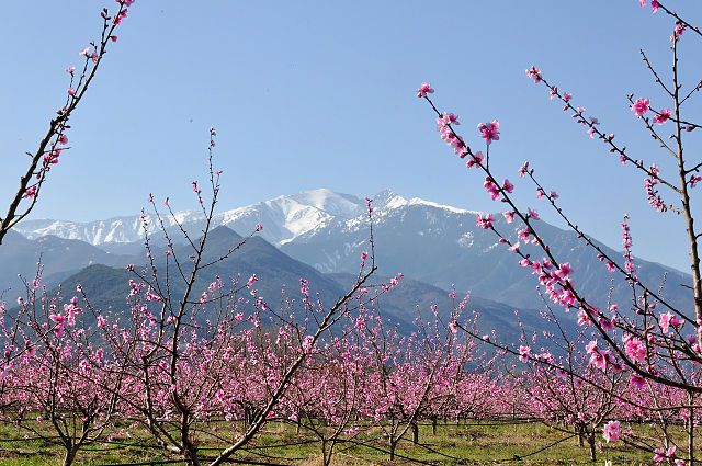 640px-Le_Canigou-compressor