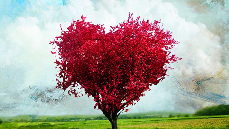 arbre-coeur