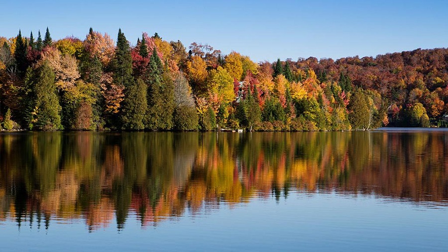 ou-voir-paysages-automne-quebec-compressor