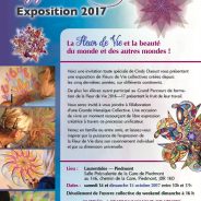 CYGNE DE VIE EXPOSITION 2017