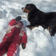 ** SEMAINE DE RENAISSANCE DU SACRÉ ** « L’AFFECTION DE NOS ANIMAUX DOMESTIQUES PERMET DE TRANSCENDER BIEN DES BOBOS »