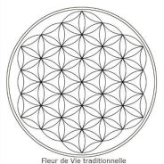 LE MESSAGE CONTENU DANS LA FLEUR DE VIE A ÉTÉ VOLONTAIREMENT OCCULTÉ PENDANT DES MILLÉNAIRES