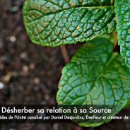 Désherber sa relation à sa Source